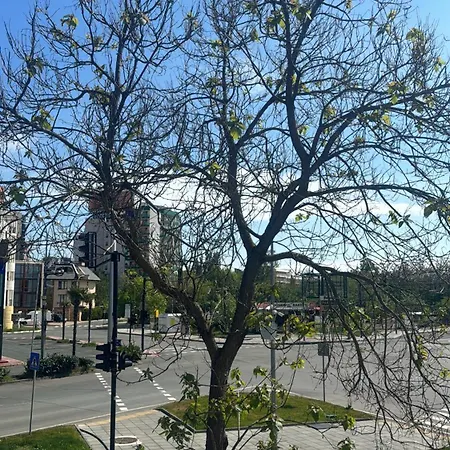 Apartma Se Dvema Loznicemi Elit1 公寓 阳光海滩