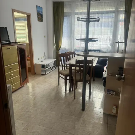 Apartma Se Dvema Loznicemi Elit1 公寓 *